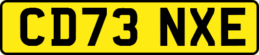 CD73NXE