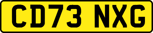 CD73NXG