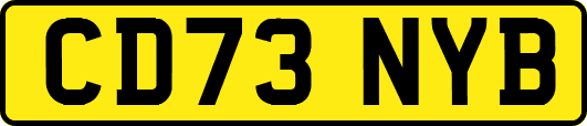 CD73NYB