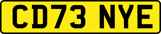 CD73NYE