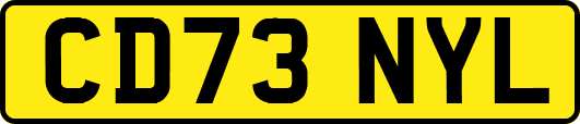 CD73NYL