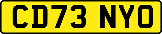 CD73NYO