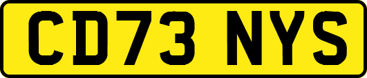 CD73NYS