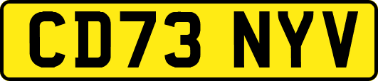 CD73NYV