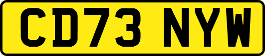 CD73NYW