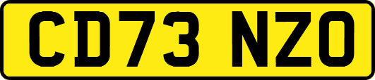 CD73NZO