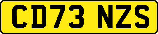 CD73NZS