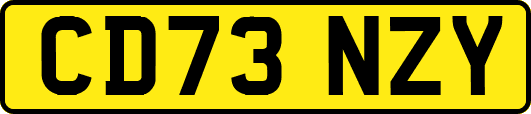 CD73NZY