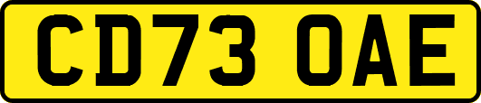 CD73OAE
