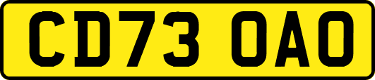 CD73OAO
