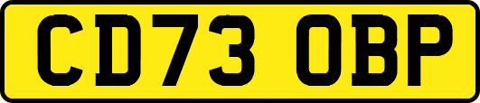 CD73OBP