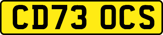 CD73OCS