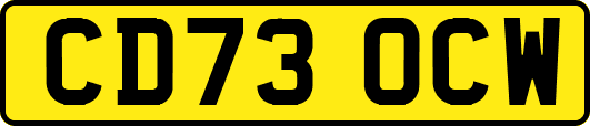 CD73OCW