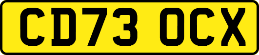 CD73OCX