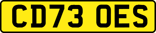 CD73OES