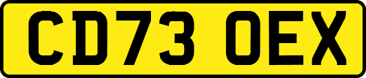 CD73OEX