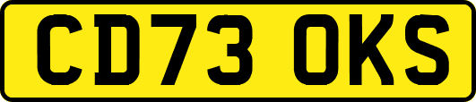 CD73OKS