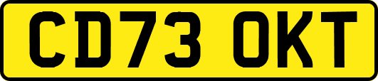 CD73OKT