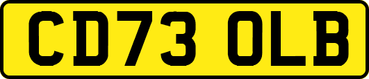 CD73OLB