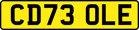 CD73OLE