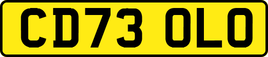 CD73OLO