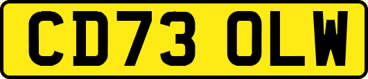 CD73OLW