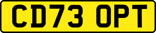 CD73OPT
