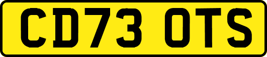 CD73OTS