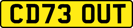 CD73OUT