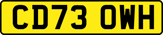 CD73OWH