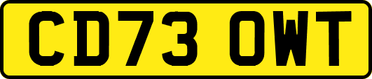 CD73OWT