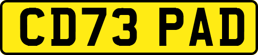 CD73PAD