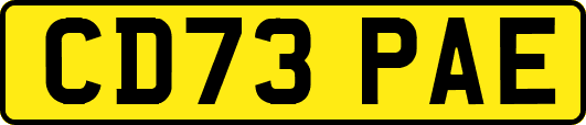 CD73PAE