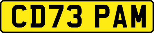 CD73PAM