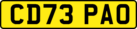 CD73PAO