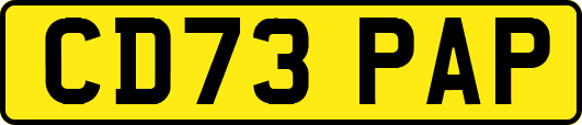CD73PAP