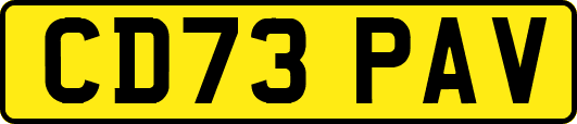 CD73PAV
