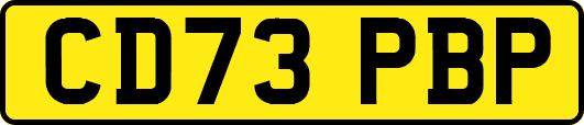 CD73PBP