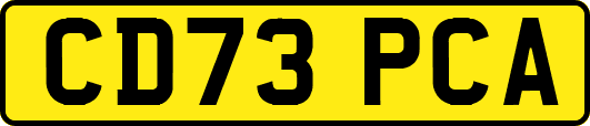 CD73PCA