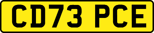 CD73PCE