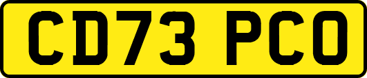 CD73PCO