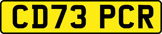 CD73PCR