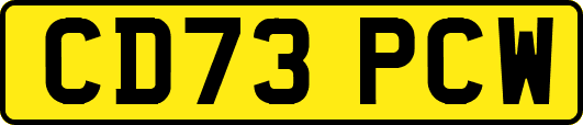 CD73PCW
