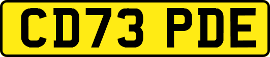 CD73PDE
