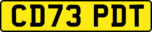CD73PDT