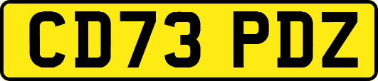 CD73PDZ