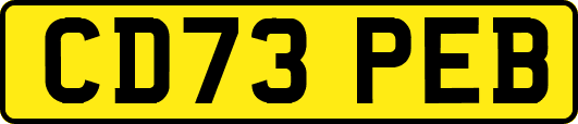 CD73PEB