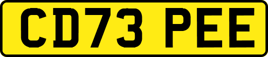 CD73PEE