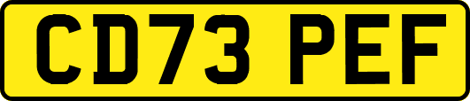 CD73PEF