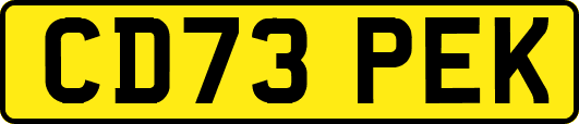CD73PEK